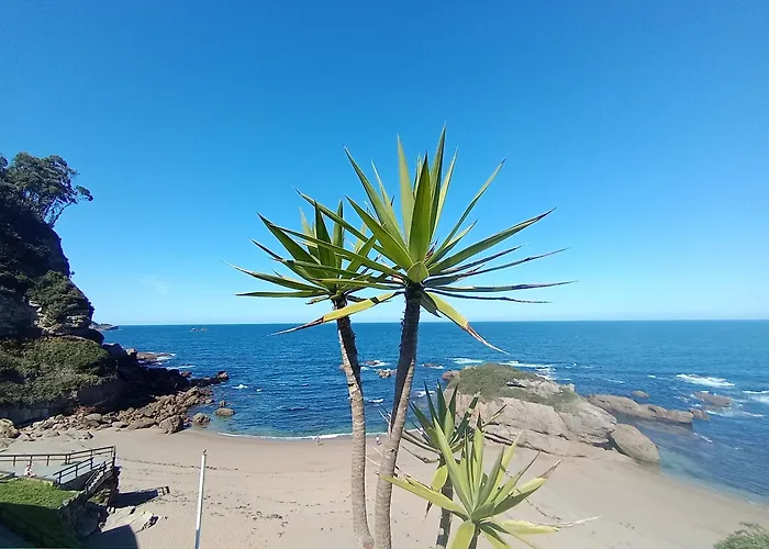 Pura Vida Estano
